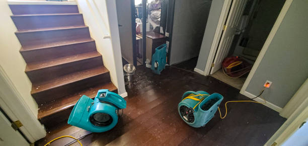 Carpet water damage restoration in WV