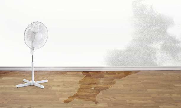 Best Sewage cleanup and water damage restoration  in Pinch, WV