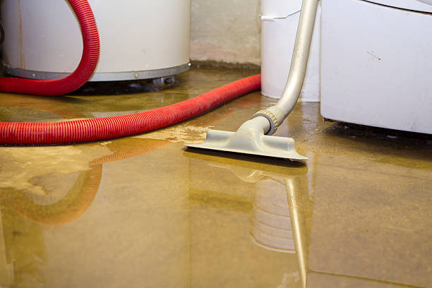 Best Emergency water damage restoration  in Pinch, WV