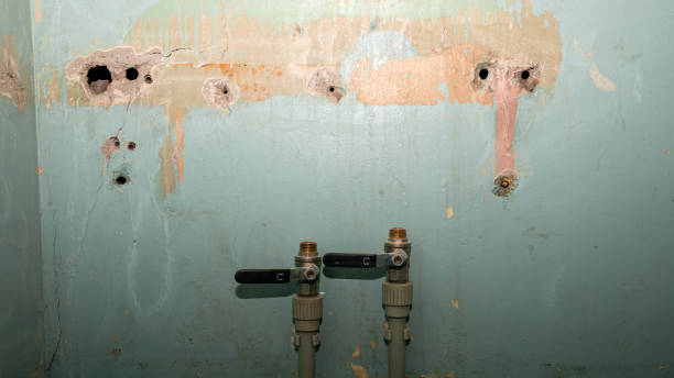 Best Emergency water damage restoration  in Pinch, WV